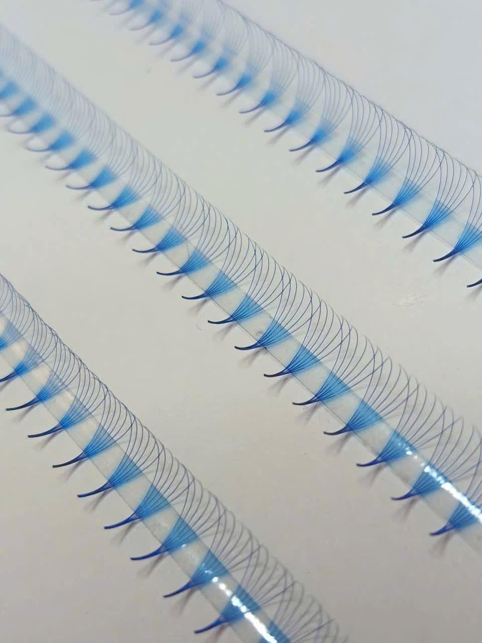 Sample 9